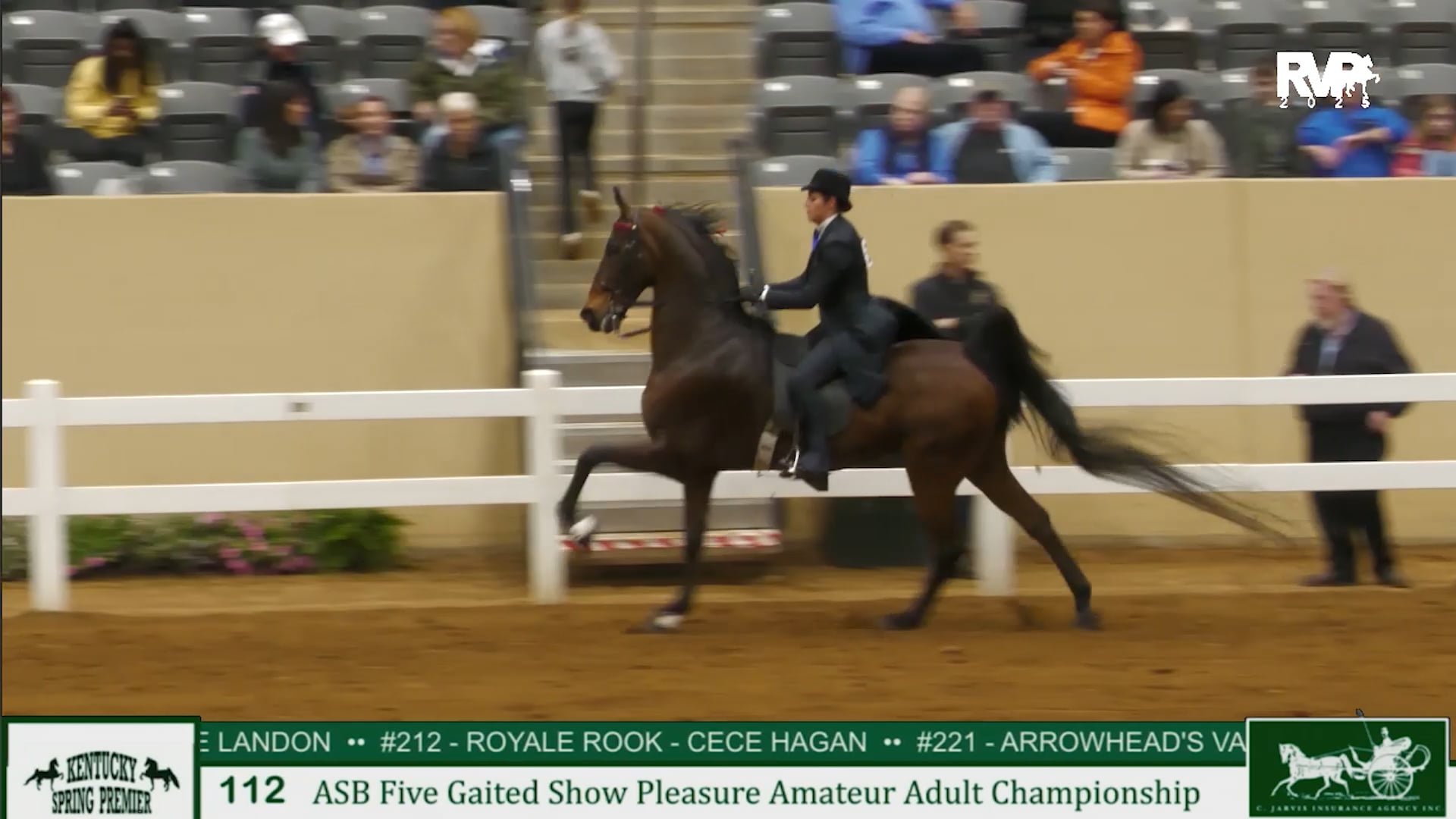 KYSP25 - Class 112 - ASB Five Gaited Show Pleasure Adult Championship