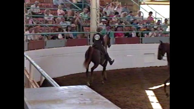 1990 Illinois State Fair - 3 Year Old...