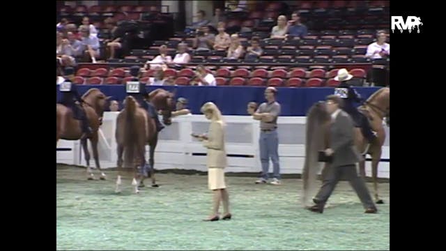 1998 WCHS - Class 111 UPHA Walk Trot ...