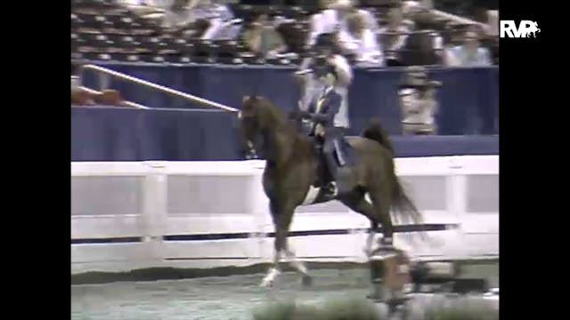 1997 WCHS - Class 62 Equitation Open ...