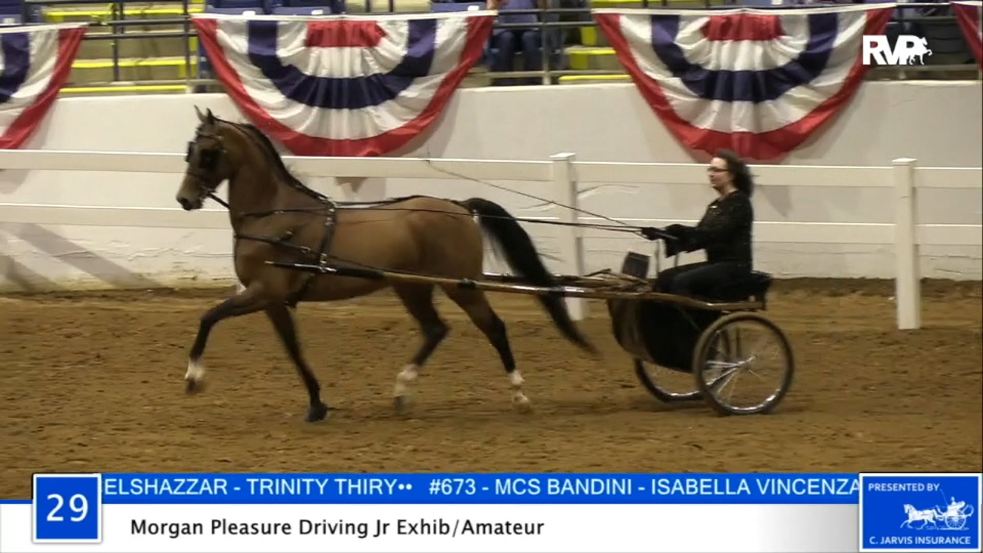 2020 BB - Class 29 Morgan Pleasure Driving Amateur:Junior Exhibitor