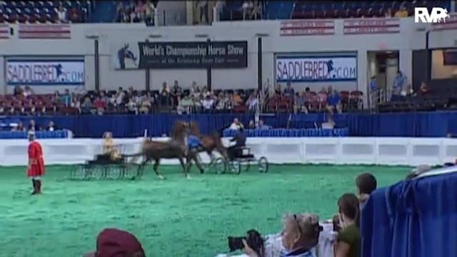 2010 World's Championship Horse Show ...