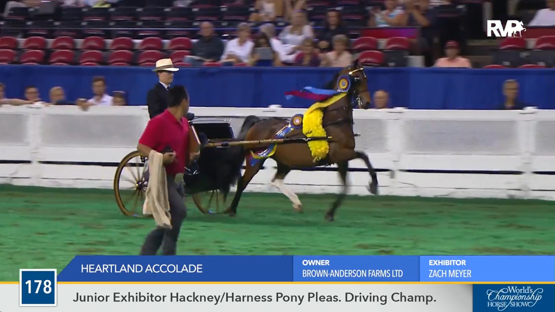 WCHS16 - Heartland Accolade - Championship 