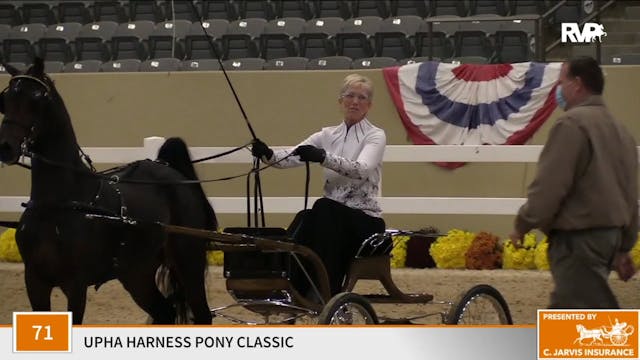 KFC 2020 - Class 71 UPHA Harness Pony...