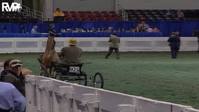 2004 World's Championship Horse Show ...