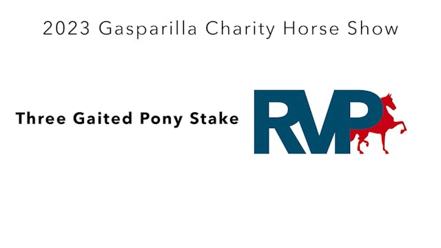 GASP23 - Class 146 - Three Gaited Pon...