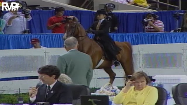 2004 World's Championship Horse Show ...