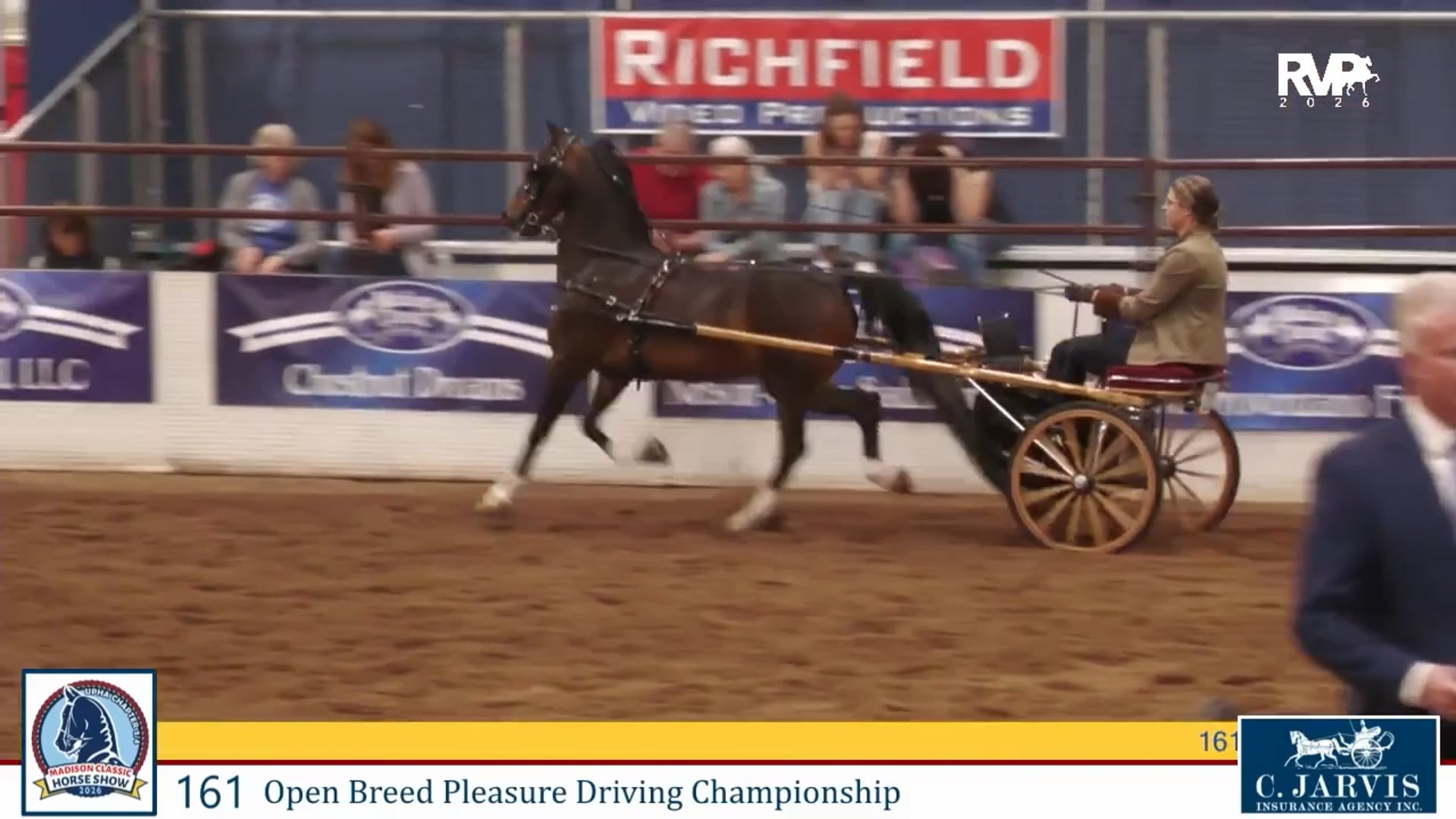 MC26 - Class 161 - Open Breed Pleasure Driving Championship