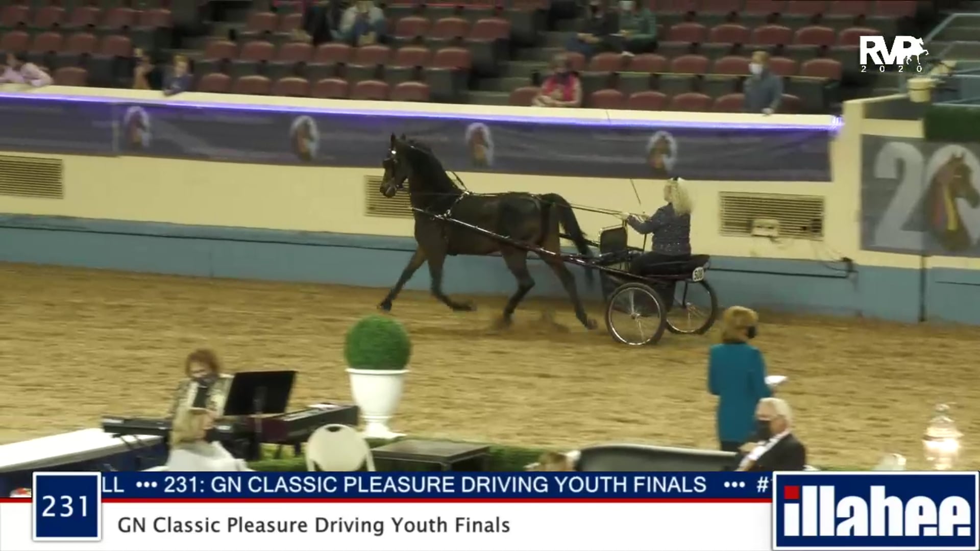 MGN 2020 - 231 GN Classic Pleasure Driving Youth Finals