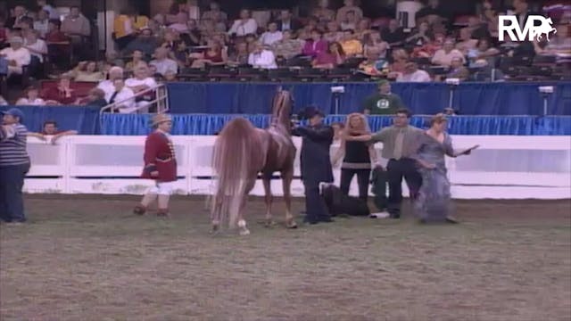 2003 WCHS Class 163 Junior Three Gait...