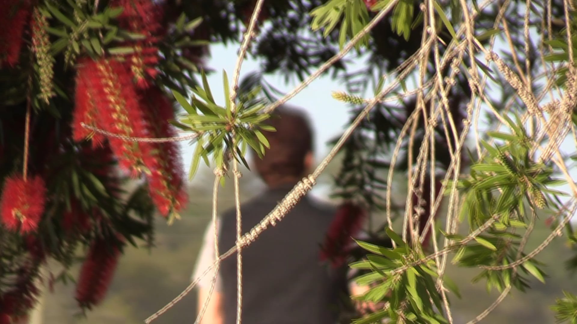 Chapter 16 2021 Header