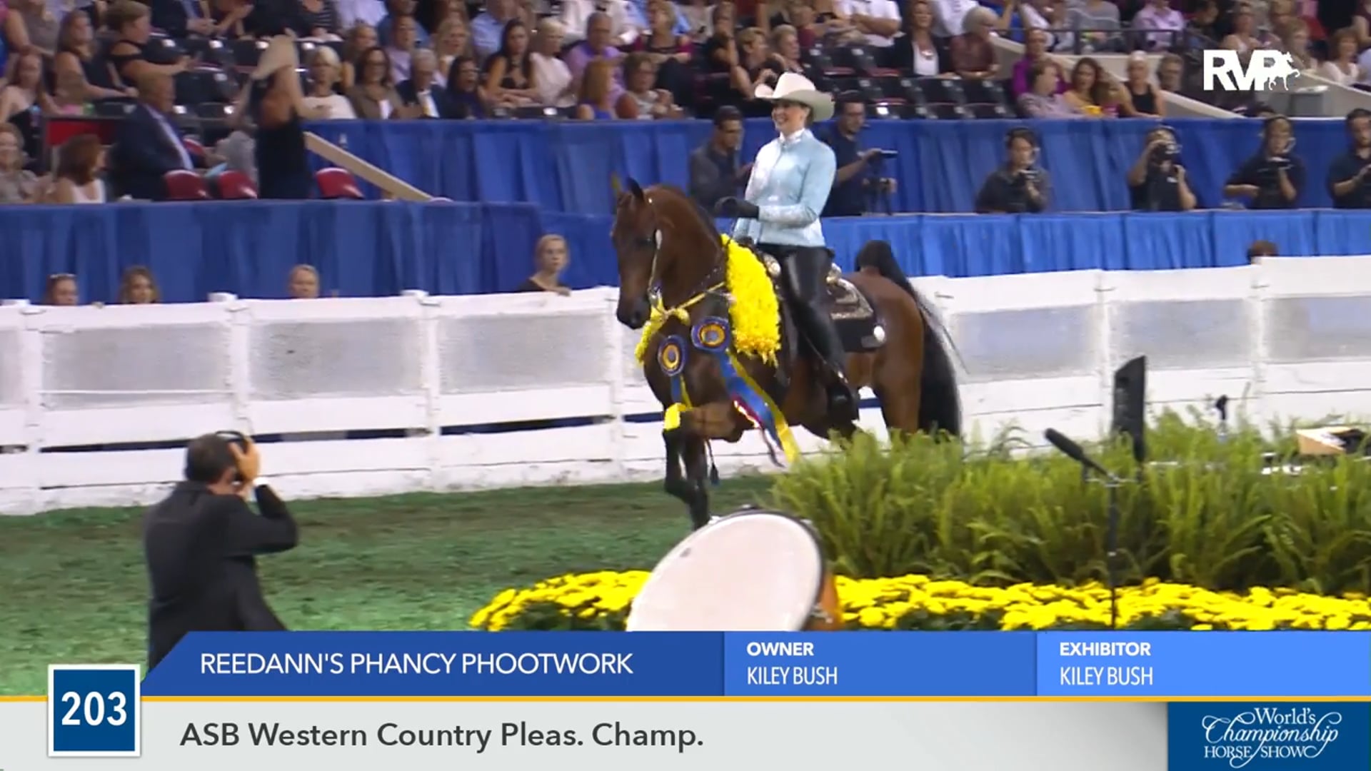 WCHS16 - Reedann's Phancy Phootwork - Championship 