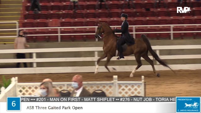 2020 ASF - Class 6 ASB Three Gaited P...