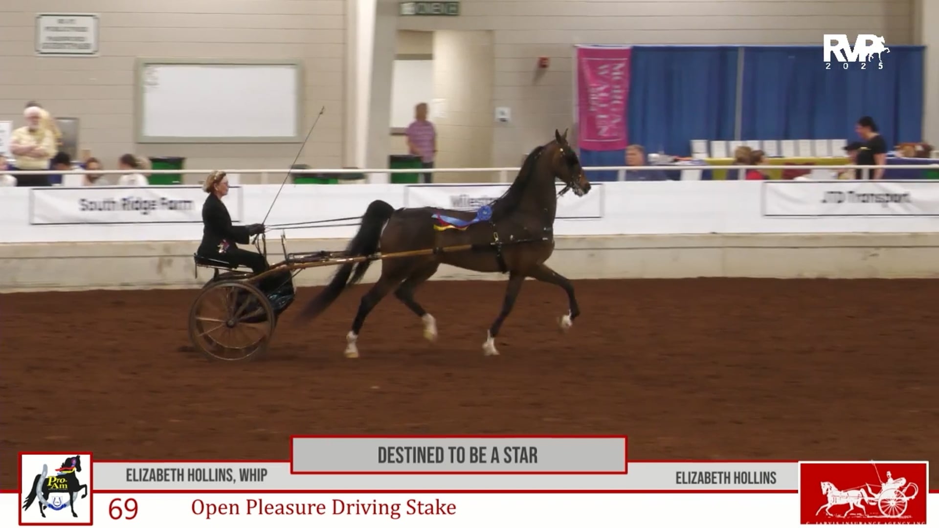 ProAm25 - Class 69 - Destined to be a Star and Elizabeth Hollins, Whip