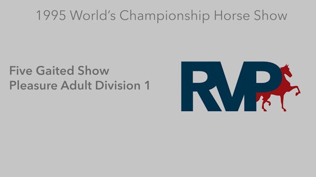 1995 WCHS - Class 4 -  Five Gaited Sh...