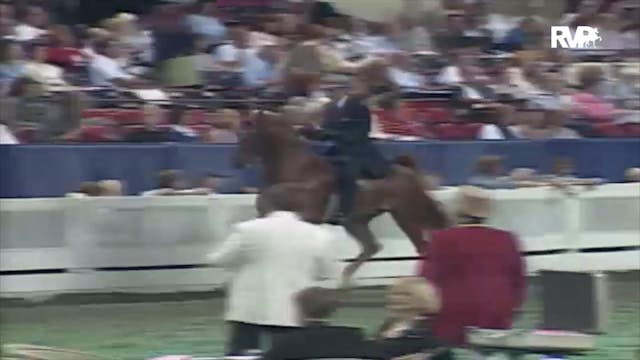 2000 WCHS Class 50 Junior Five Gaited...