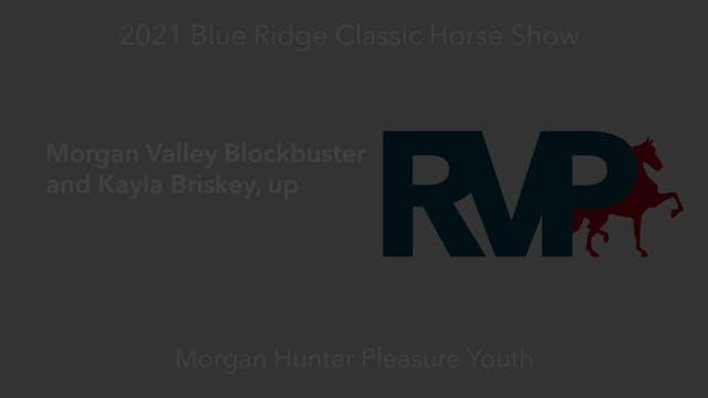 BR21 - Class 47 - Morgan Valley Block...