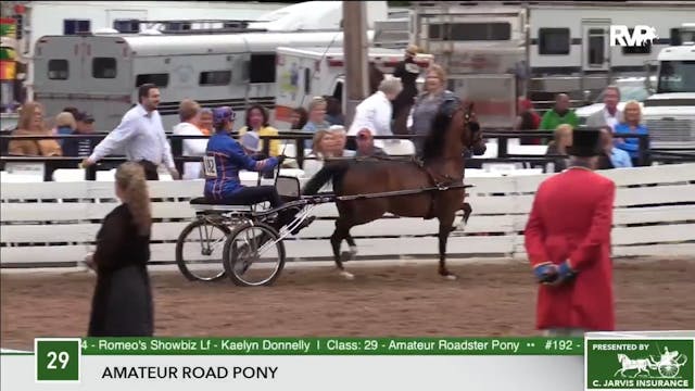 2017 RC - Class 29 Amateur Road Pony 