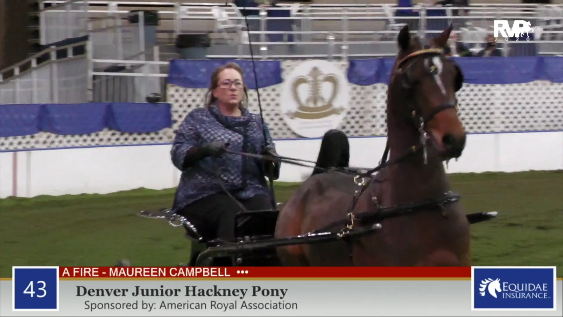 2020 AR - Class 43 Denver Junior Hackney Pony