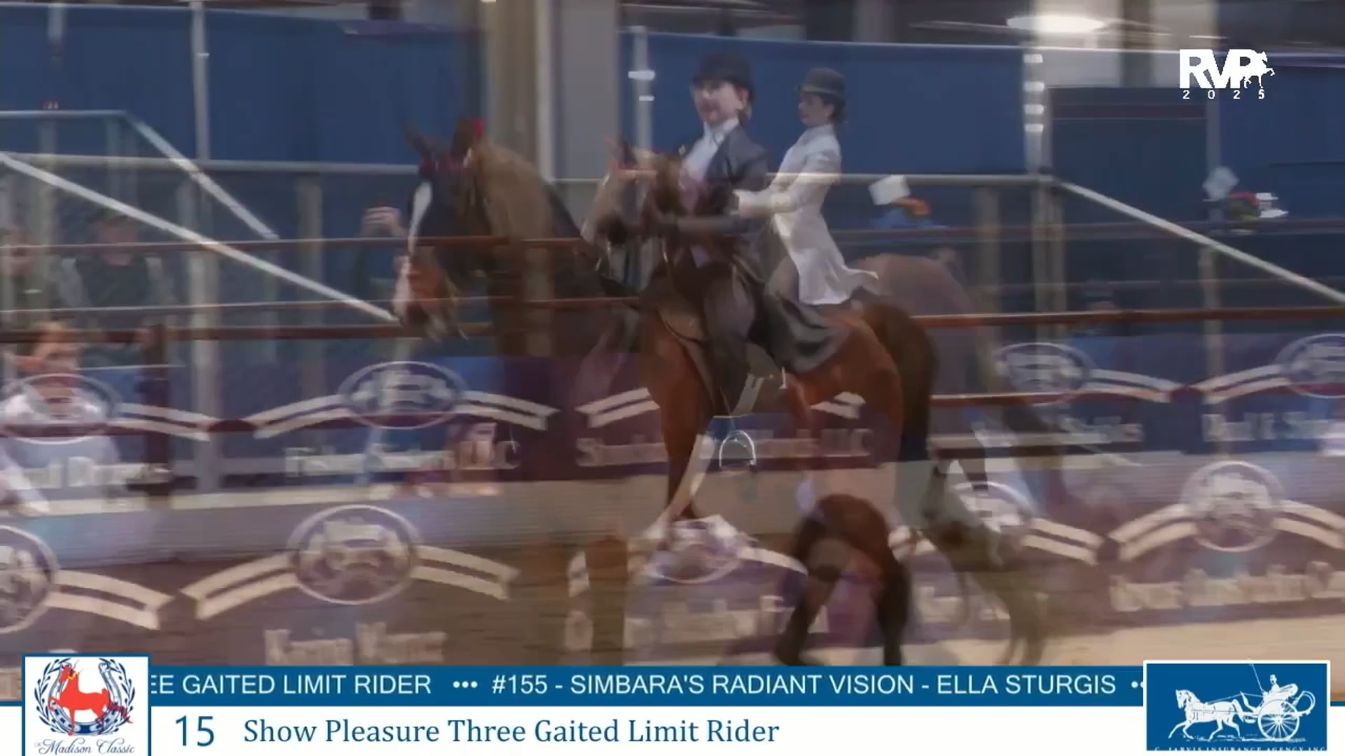 MC25 - Class 15 - Show Pleasure Three Gaited Limit Rider