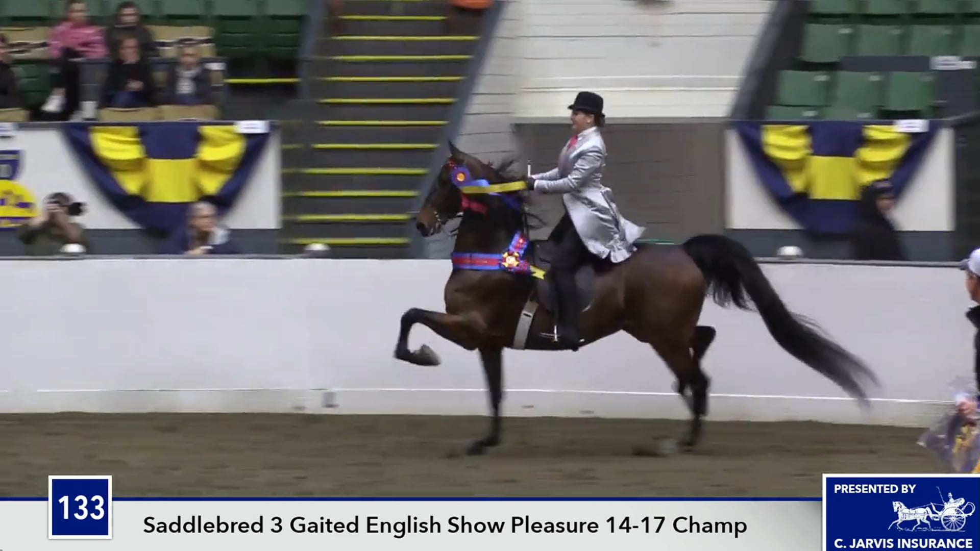 UPHACh14 17 - CH Graceful Surpise - Championship 