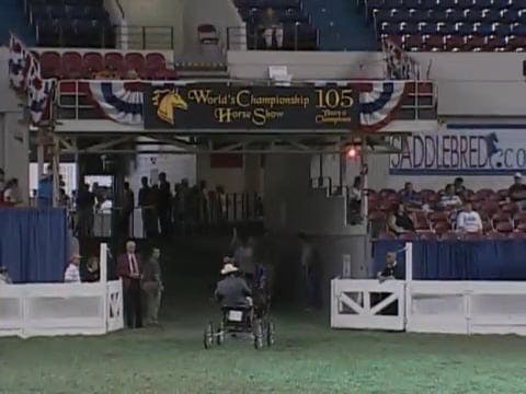 2008 WCHS Class 126 Three Year Old Ha...