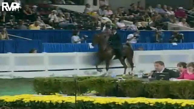 2003 WCHS Class 37 ASB Open Park Thre...
