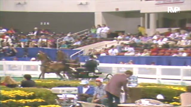 1992 WCHS Class 25 Junior Fine Harnes...