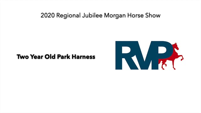 2020 JMHS - Class 76 Two Year Old Par...