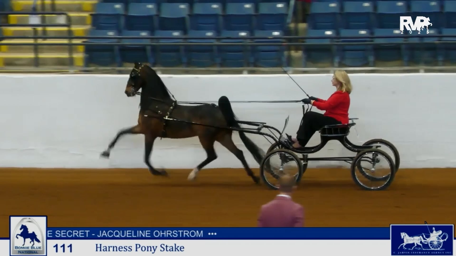 BB25 - Class 111 - Harness Pony Stake