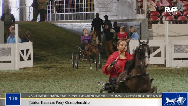 WCHS24 - Class 178 - Jr Harness Pony ...