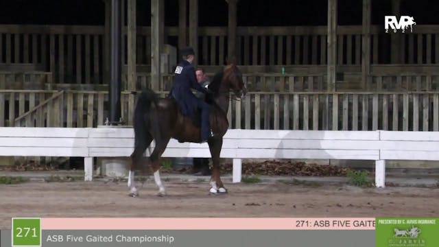 SB21 - Class 271 - ASB Five Gaited Ch...