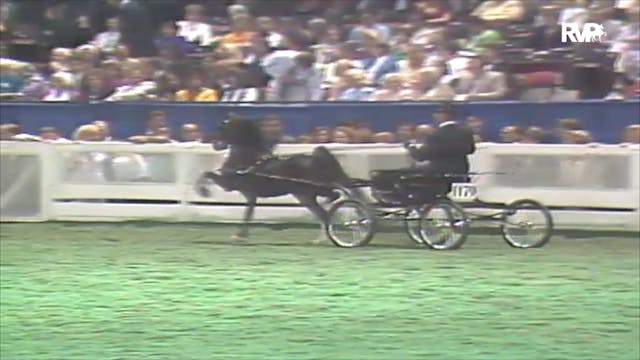 1992 WCHS Class 168 Harness Pony Cham...