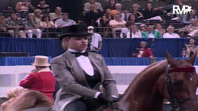 2003 WCHS Class 168 Three Gaited Pony...
