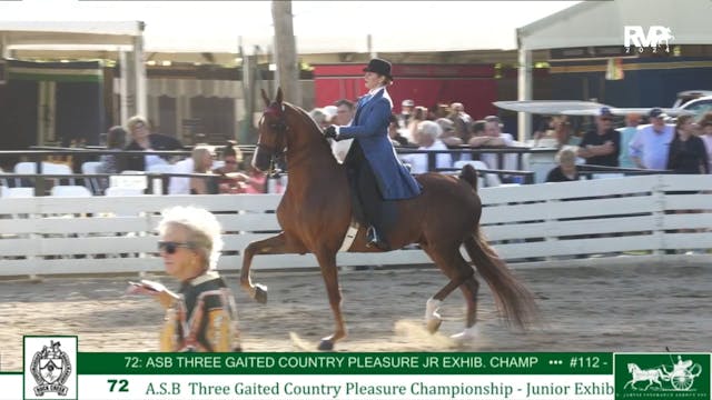 RC24 - Class 72 - ASB Three Gaited Co...