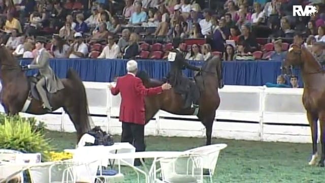 2010 World's Championship Horse Show ...