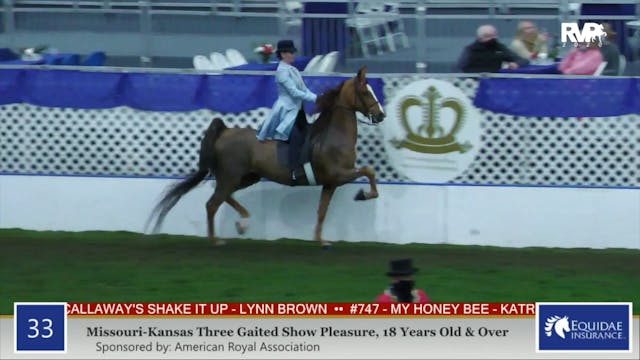 2020 AR - Class 33 MO:KS Three Gaited...