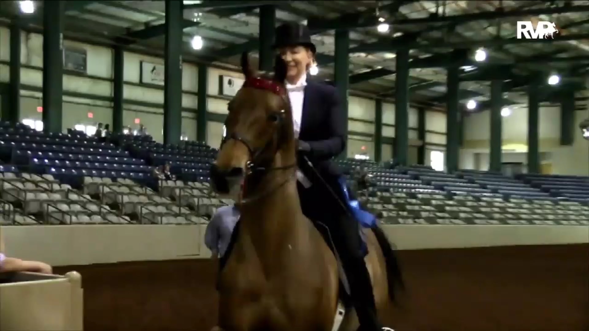 2019 Southern Saddlebred Spring Fling Horse Show - Thursday Evening