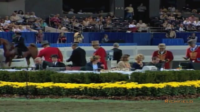 2002 WCHS Class 87 Amateur Three Gait...