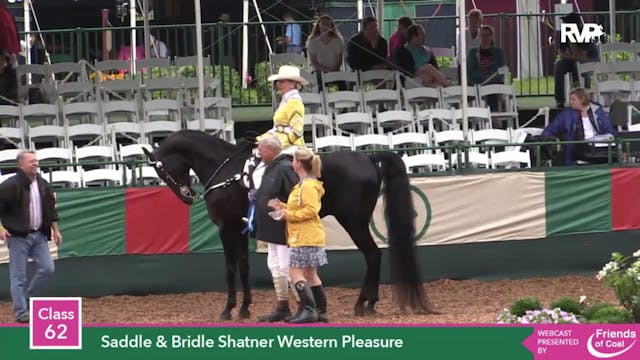 2015 LJL - Class 62 Saddle & Bridle S...