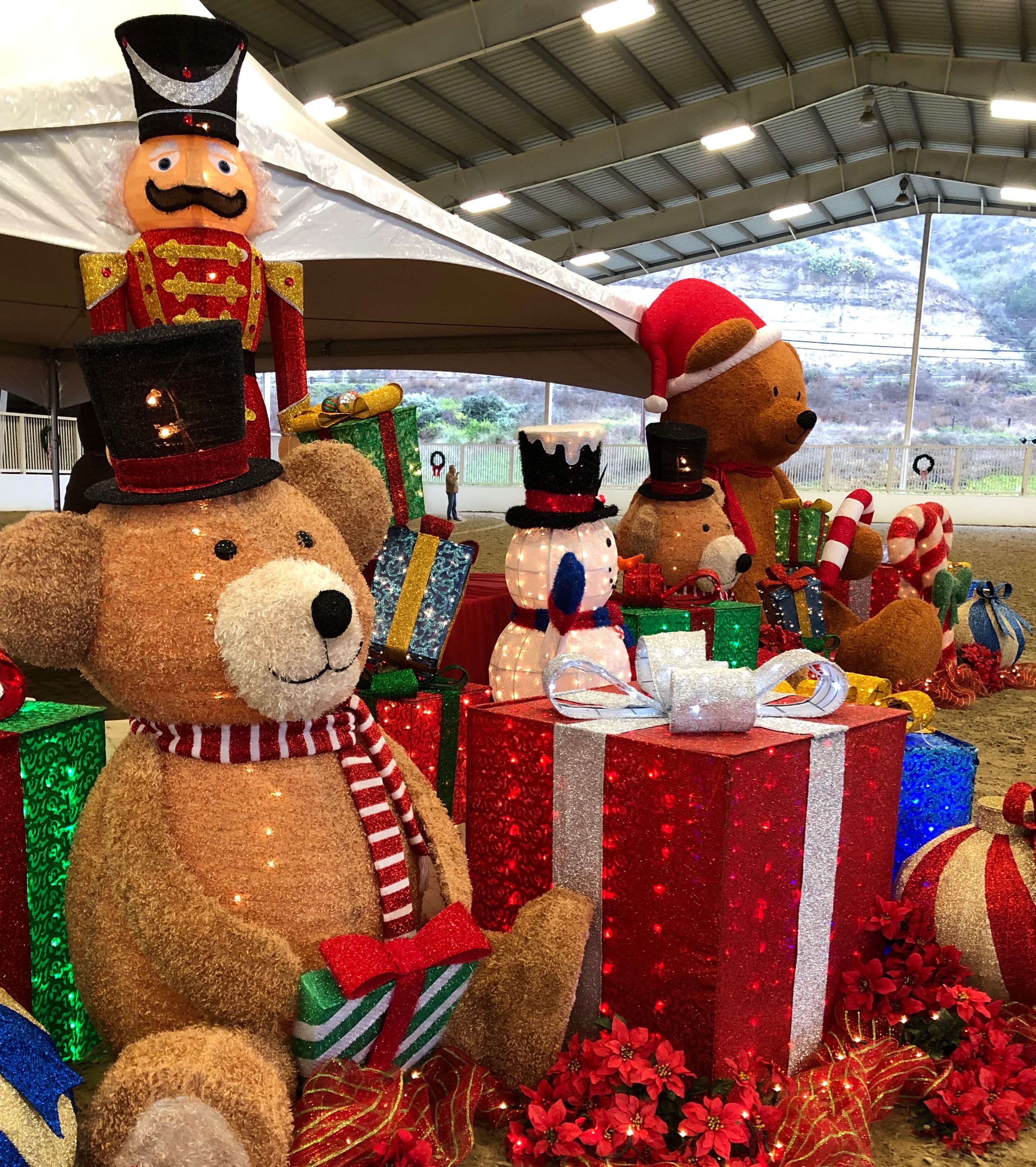 Jingle Bells Horse Show Richfield Video Archive