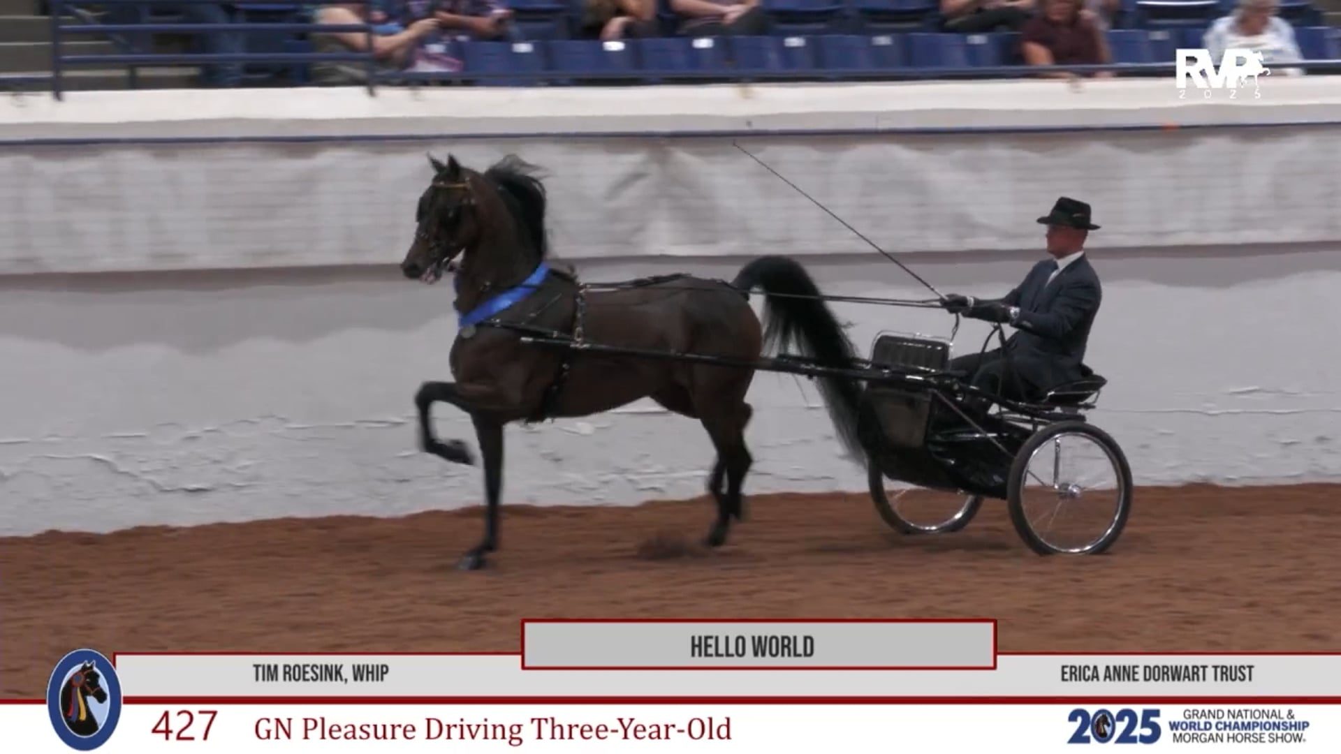 MGN25 - Class 427 - Hello World and Tim Roesink, Whip