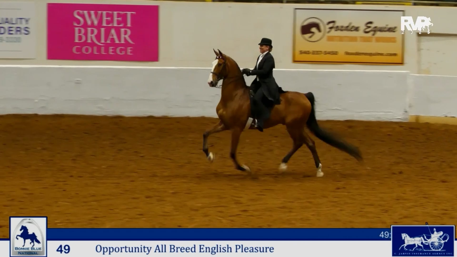 BB25 - Class 49 - Opportunity All Breed English Pleasure