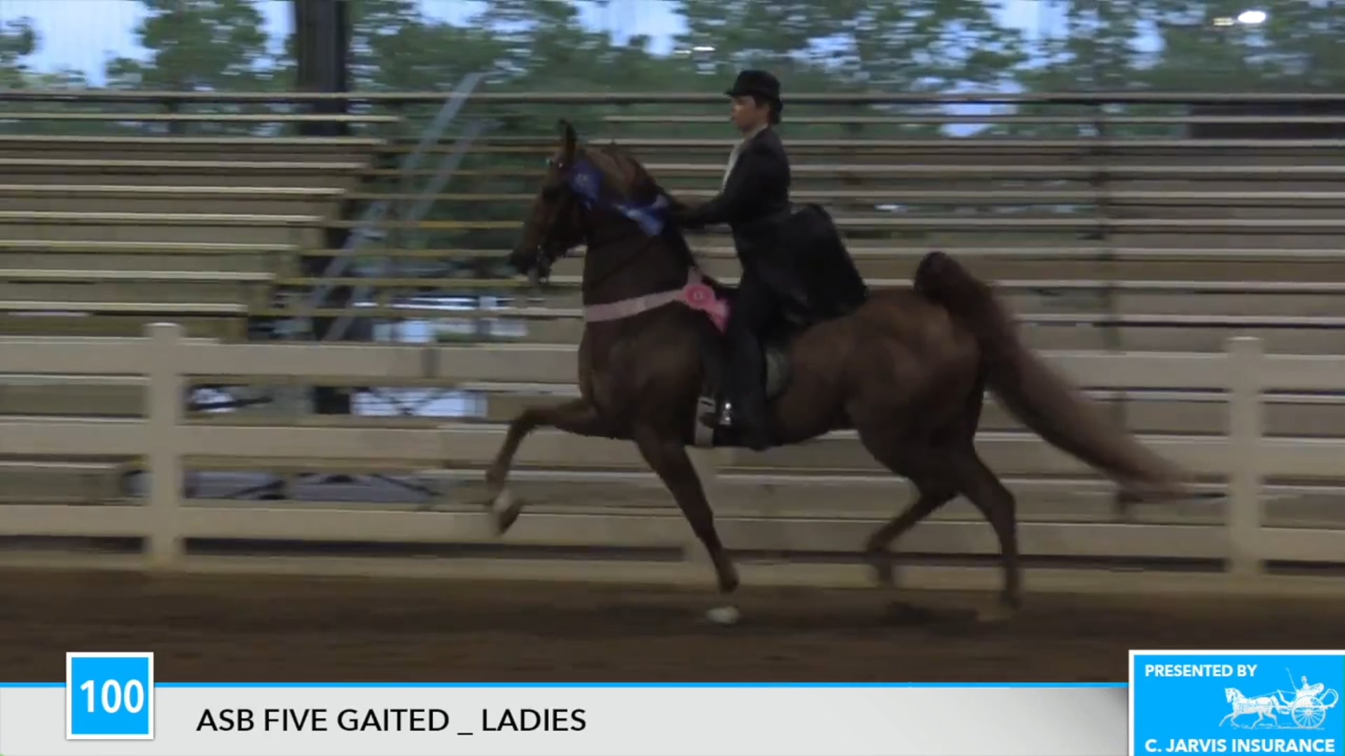 DC17 - Wrapped In Chocolate