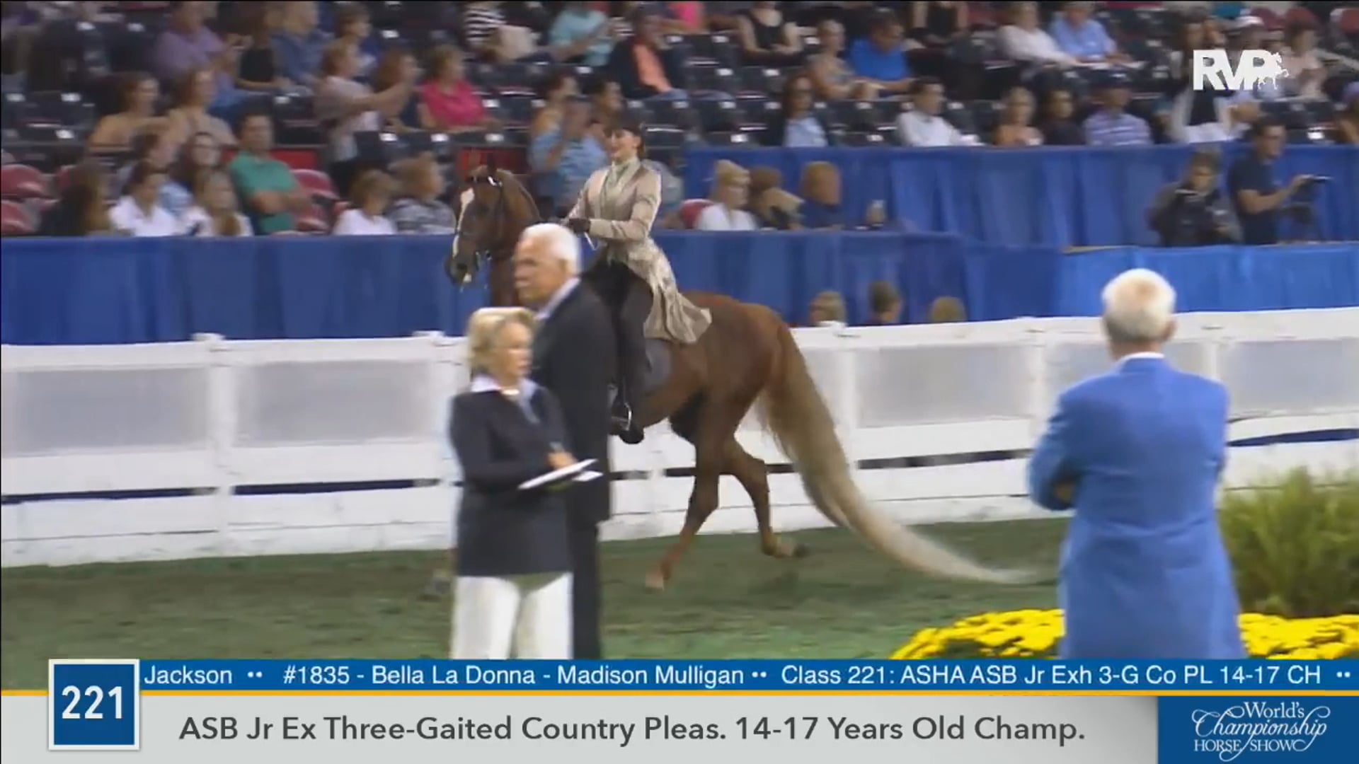 2016 WCHS - Class 221 ASB Junior Exhibitor 14-17
Three Gaited Country Pleasure Championship