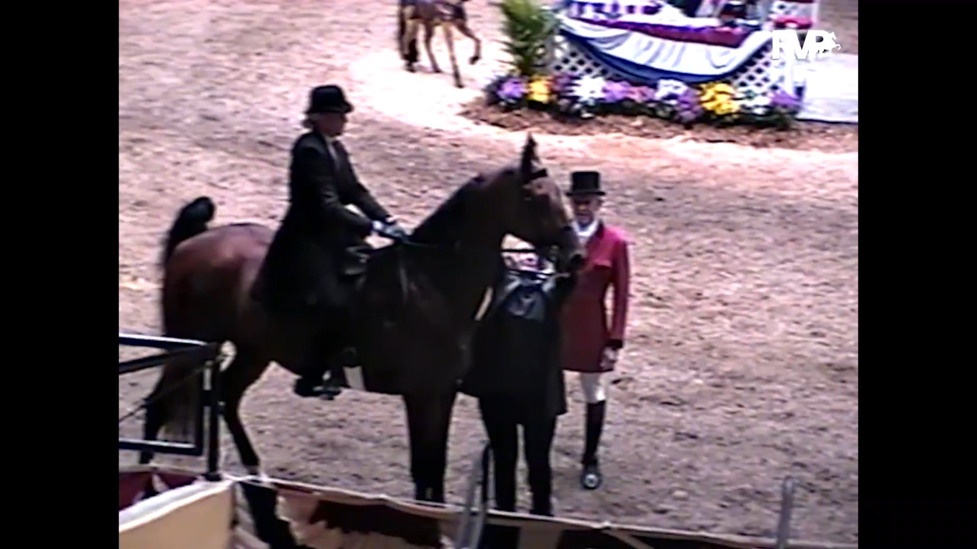 1999 Wisconsin Futurity - Junior Five Gaited - Wonderful Touch and Neva Van Ess, up 