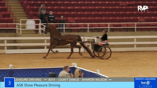 ASW21 - Class 3 - ASB Show Pleasure D...