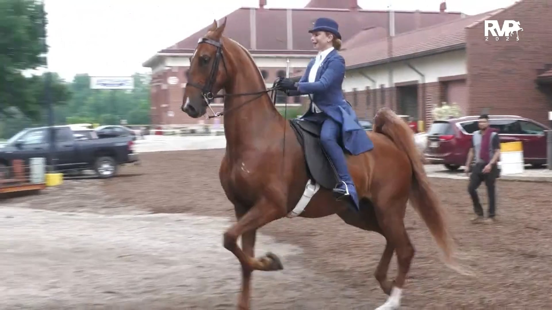 MW25 - Class 137 - Saddle Seat Equtiation Walk-Trot 10 & Under