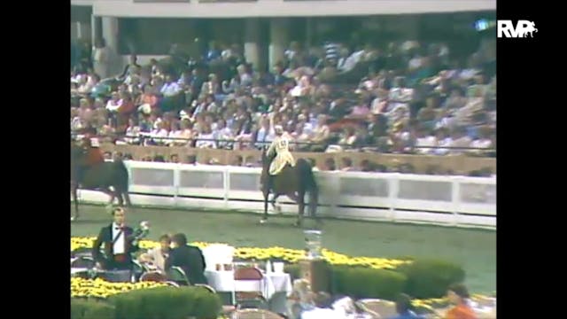 1988 WCHS Class 138 Five Gaited Pony ...