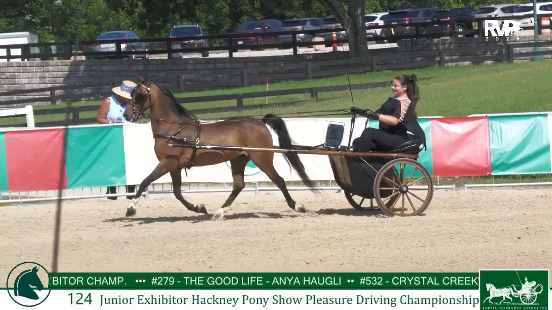 LJL25 - Class 124 - Jr Exhibitor Hackney Pony Show Pleasure Driving Championship